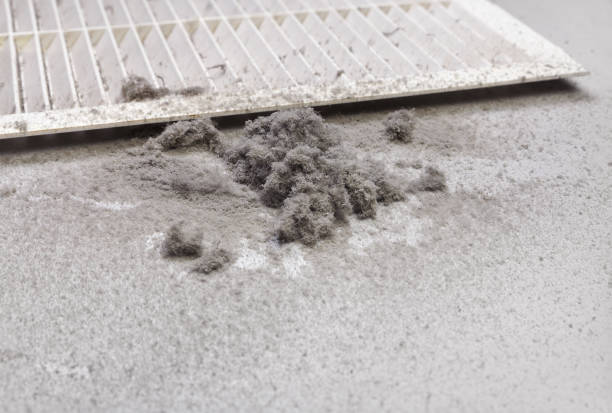 Best Affordable Duct Cleaning Services  in Blue Ridge, TX